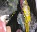 DSCN3784